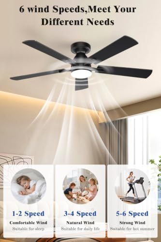 Ceiling Fan with Light