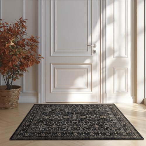 Washable Small Area Rug 2×3 for Entryway (Dark Gray / 2' x 3' (Rectangular))