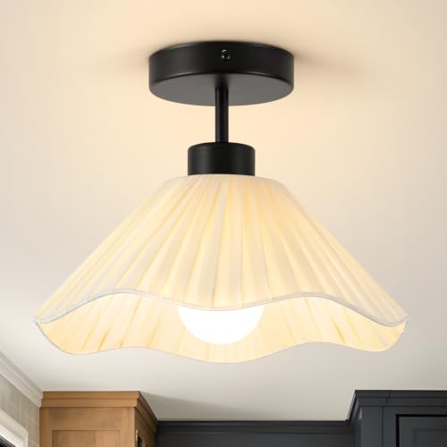 Semi Flush Mount Ceiling Light