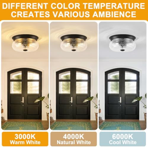 Flush Mount Ceiling Light Fixtures