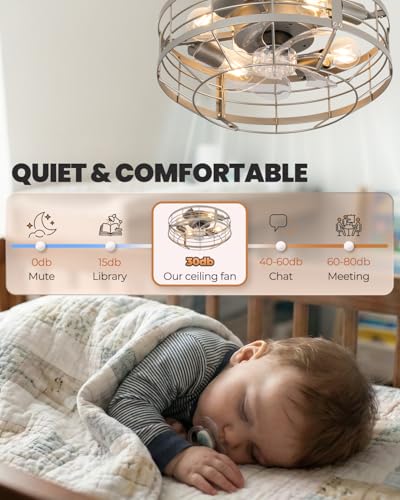 Black Ceiling Fan with Light