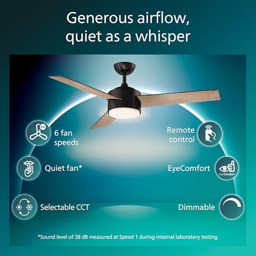 Indoor Ceiling Fan with Bright LED Light