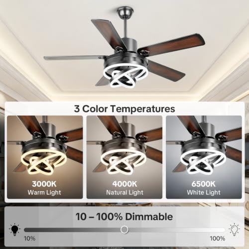Ceiling Fans with Lights