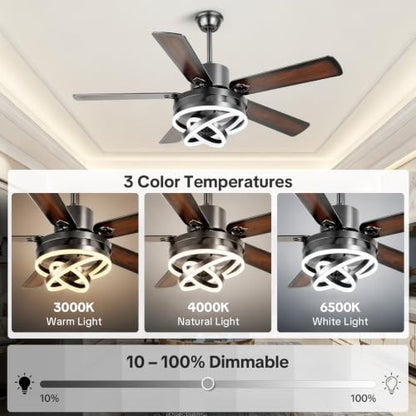 Ceiling Fans with Lights