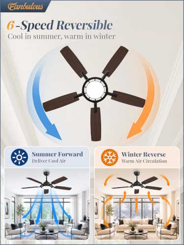 Large Ceiling Fans with Lights