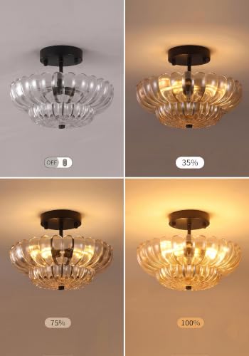 Vintage Black Close to Ceiling Light Fixture with Glass Shade