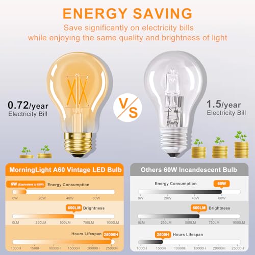 Vintage LED Edison Light Bulbs 60 Watt