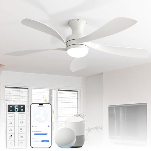 Ceiling Fans with Lights and Remote