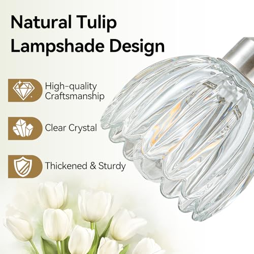 3 Light Vanity Lights with Clear Tulip Glass Shade (Brushed Nickel - Tulip Clear / 3-light)