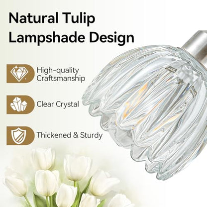 3 Light Vanity Lights with Clear Tulip Glass Shade (Brushed Nickel - Tulip Clear / 3-light)