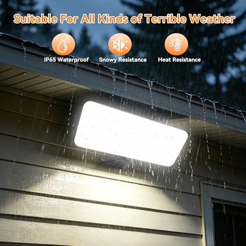 100W 2 Pack LED Flood Lights Outdoor (Black / 100 Watt 2 PACK)