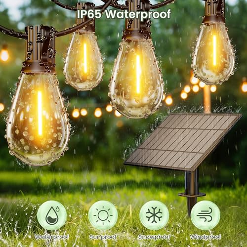 Outdoor String Lights (Cozy White / 50FT-Solar)