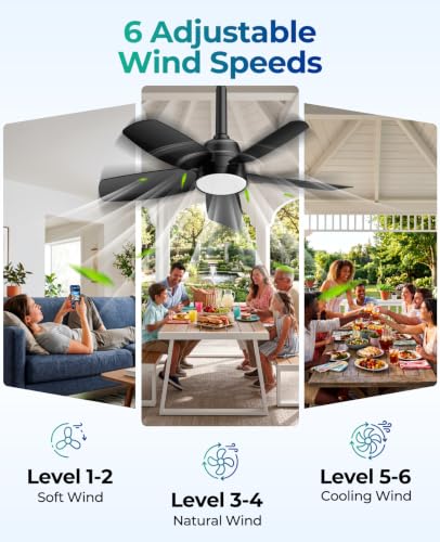 Outdoor Ceiling Fan with Light