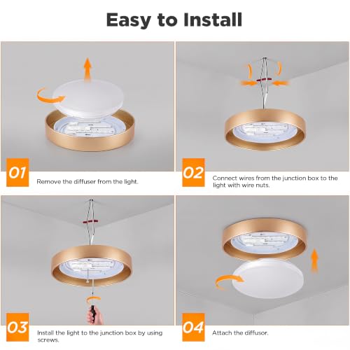 Flush Mount Ceiling Light