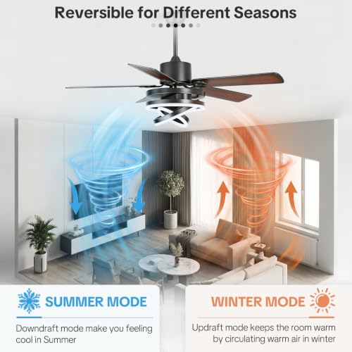 Ceiling Fans with Lights