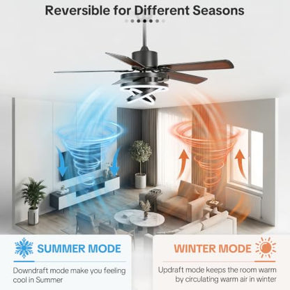 Ceiling Fans with Lights