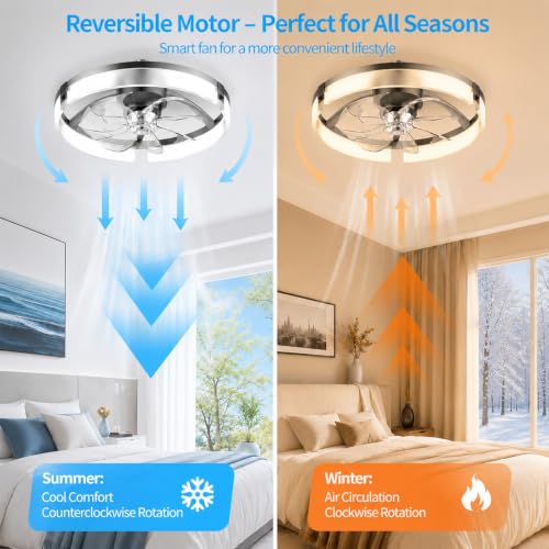 Ceiling Fans with Lights and Remote