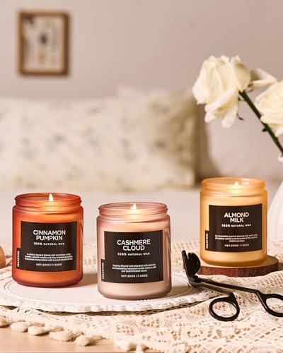 Cashmere Cloud Scented Candles for Home Cozy Winter Gifts Women (Small Jar / Cashmere Cloud)