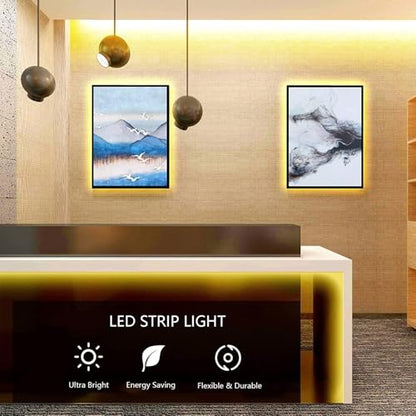 32.8ft LED Strip Lights DC24V