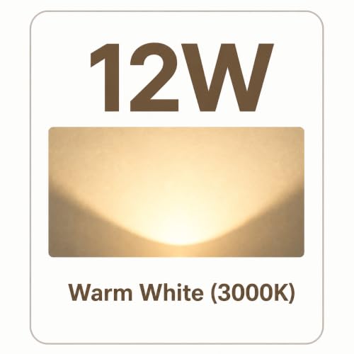 12V Low Voltage Landscape Flood Light