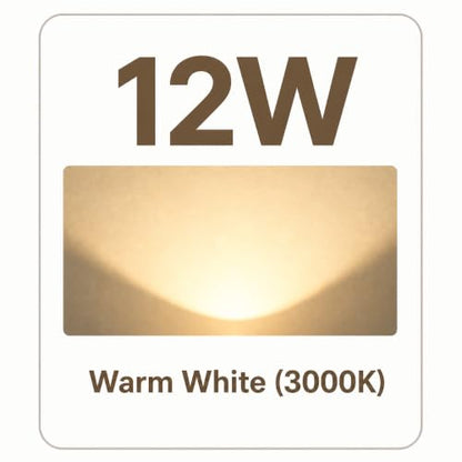 12V Low Voltage Landscape Flood Light
