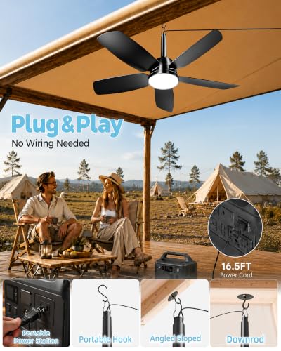 Outdoor Ceiling Fan with Light