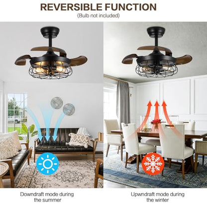 Caged Ceiling Fan