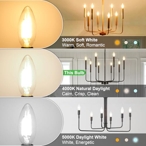 24 Pack E12 LED Bulbs for Chandelier 60W Equivalent 4000K Natural White (24 Count (Pack of 1))