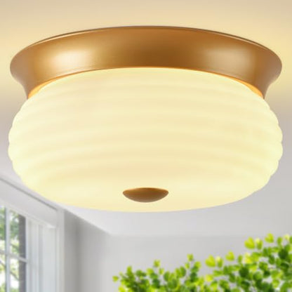 Flush Mount Ceiling Light Fixtures