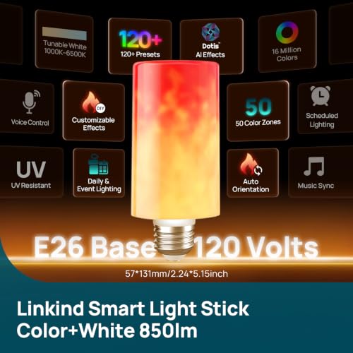 Smart Light Stick