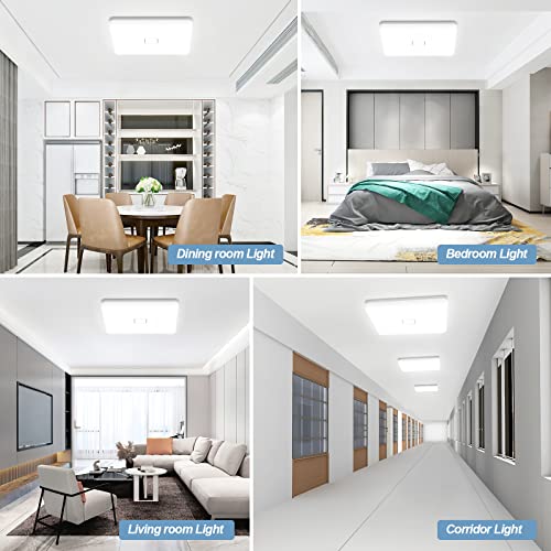 LED Ceiling Light