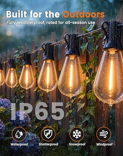 Outdoor LED String Lights with 2FT Bulb Spacing