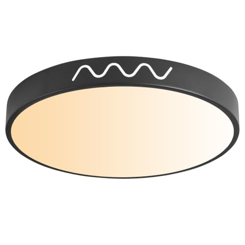 Modern Flush Mount LED Ceiling Light Fixture