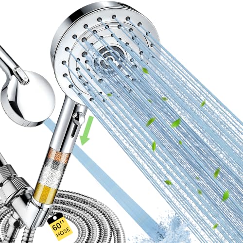 Filtered Shower Head with Handheld