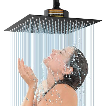 Rain Shower Head with Filtered
