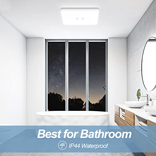 LED Ceiling Light