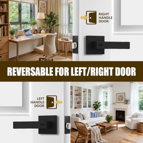 Privacy Door Handle with Lock