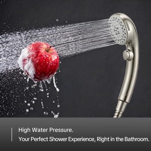 Handheld Shower Head