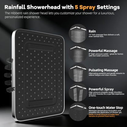 13'' Rain Showerhead Combo (Square 13" with 2 filters / Chrome)