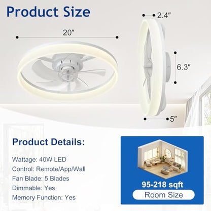 DLLT Modern Ceiling Fans with Lights