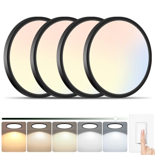 Black LED Flush Mount Ceiling Light Fixtures Dimmable 5CCT