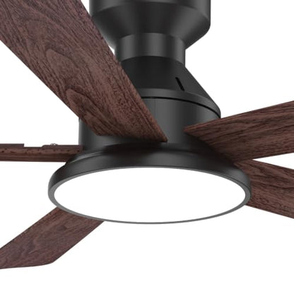 Ceiling Fans with Lights