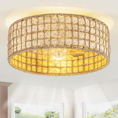 Rattan fandelier Ceiling Fans with Lights
