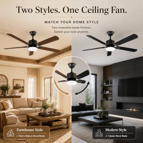 Ceiling Fans with Lights