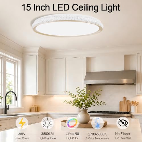 LED Flush Mount Ceiling Light