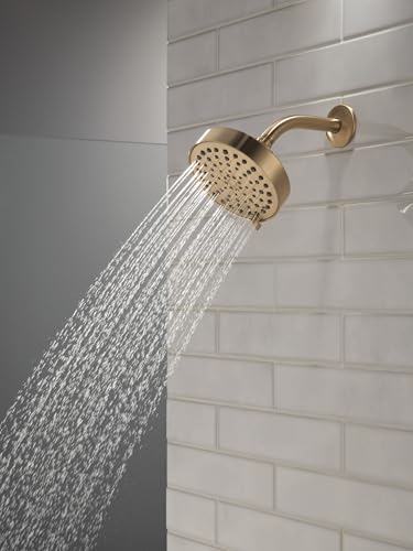 Modern 4 Setting Brushed Nickel Shower Head