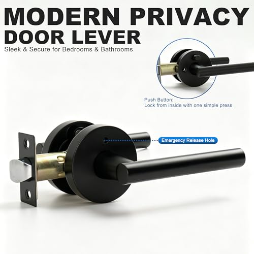 Privacy Door Handle with Lock
