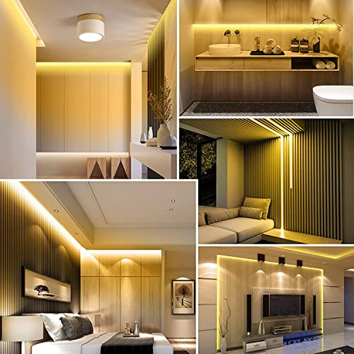 32.8ft LED Strip Lights DC24V