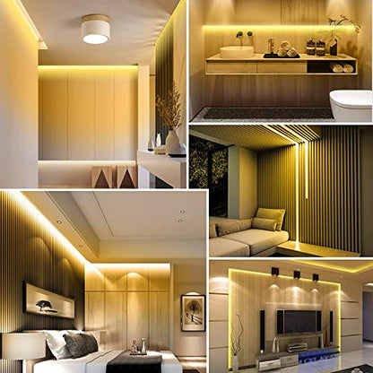 32.8ft LED Strip Lights DC24V