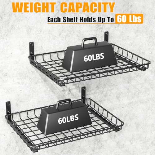 Wall Mounted Storage Shelves